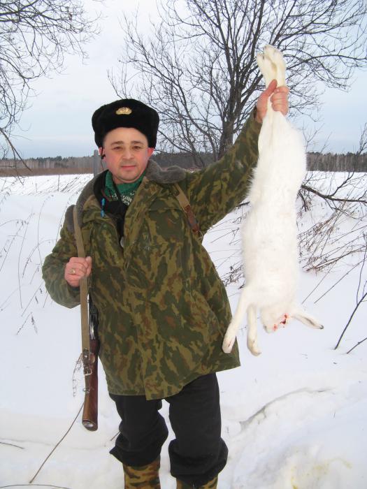 февральский заяц