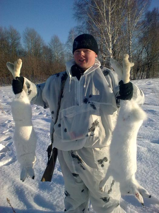 зайцы