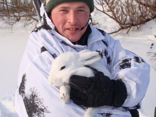 Пушистик