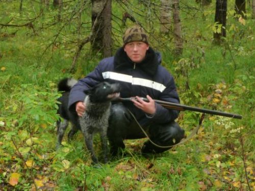 ЗСЛ Лапа
