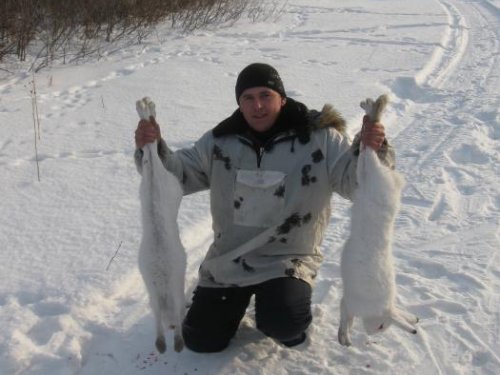 зайки