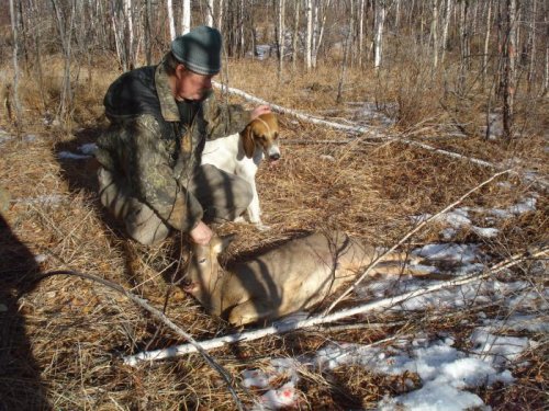 ноябрь 2010