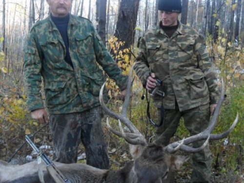 изюбрь.в рев 2010