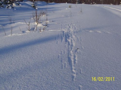 Промах.