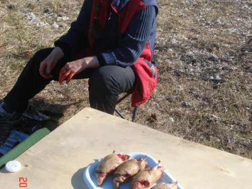 Закрытие сезона 2010