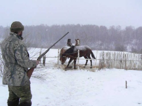 Приучаем к выстрелу
