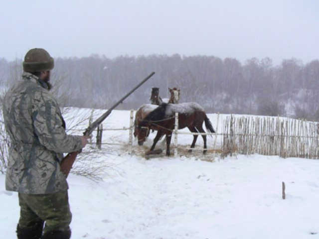 Приучаем к выстрелу