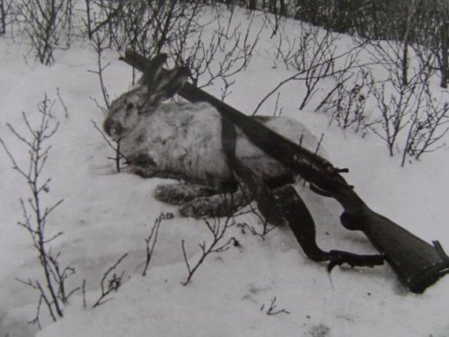 В сопках Рудного Алтая,ноябрь 1978г.