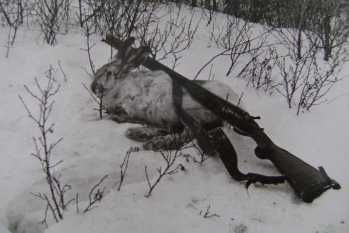 В сопках Рудного Алтая,ноябрь 1978г.
