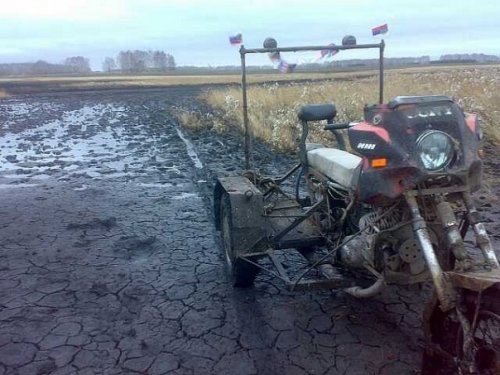 На болоте