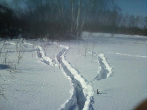 "козий тризубец"