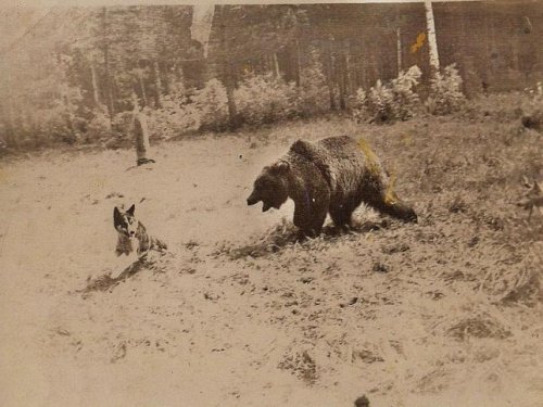 1960