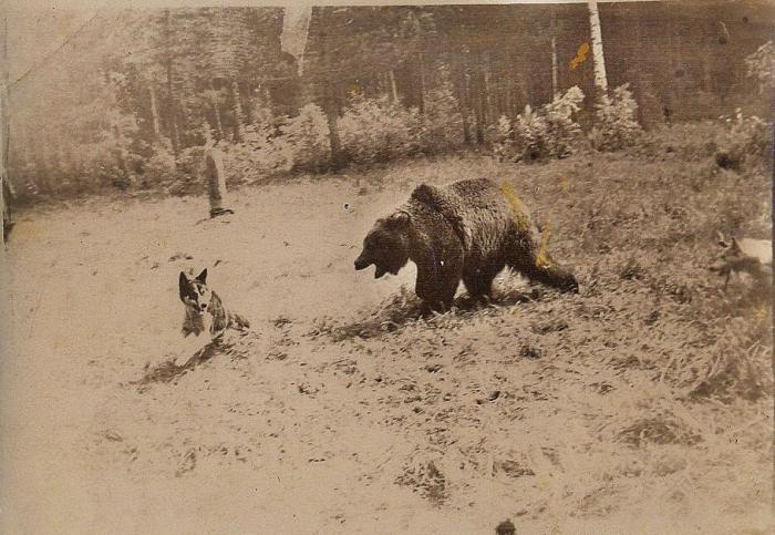 1960