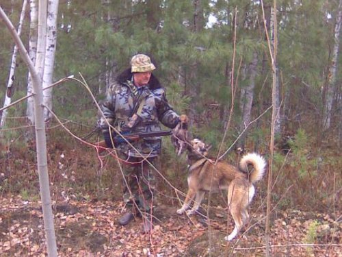 добыли рябчика