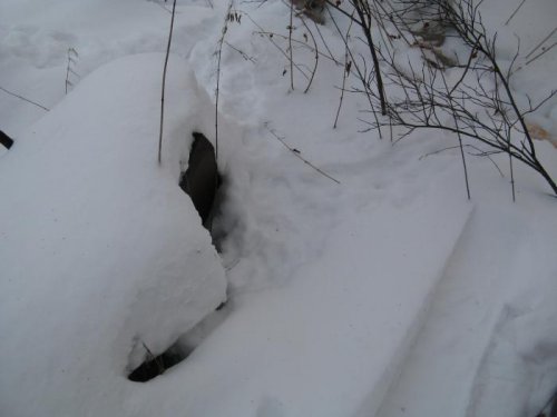 Охота в феврале