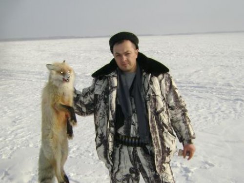 я и лисовин