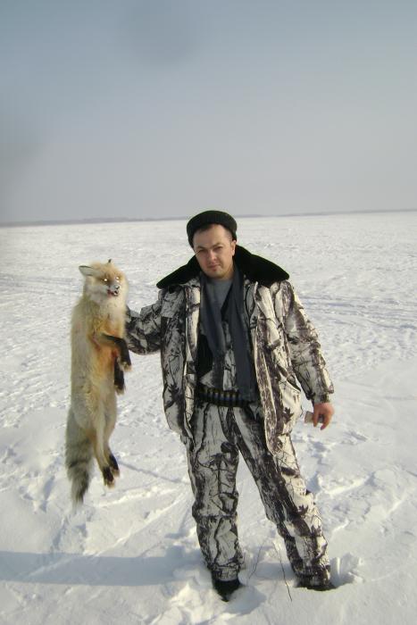 я и лисовин