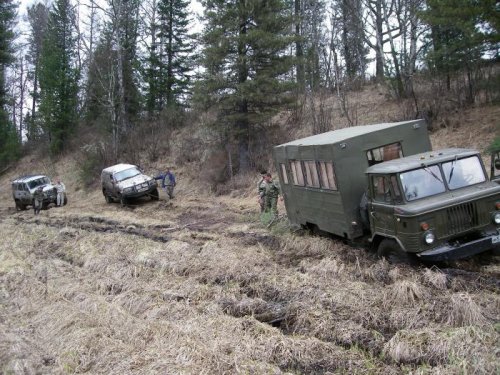 спасение "шишиги"