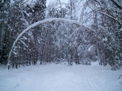 Такая вот арка
