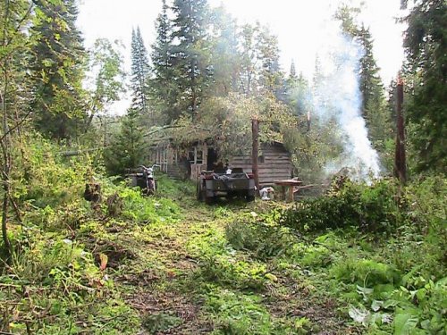Спасли упавшие деревья.
