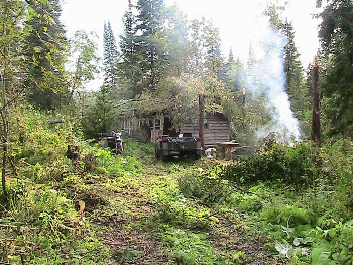 Спасли упавшие деревья.
