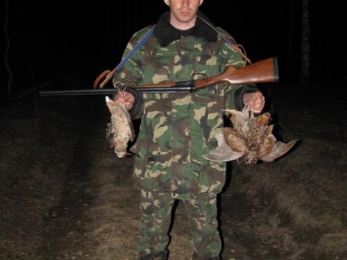 весна 2010 на вальдшнепа