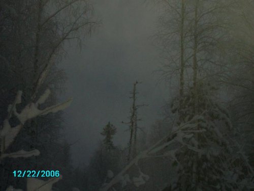 утро в зимнем лесу
