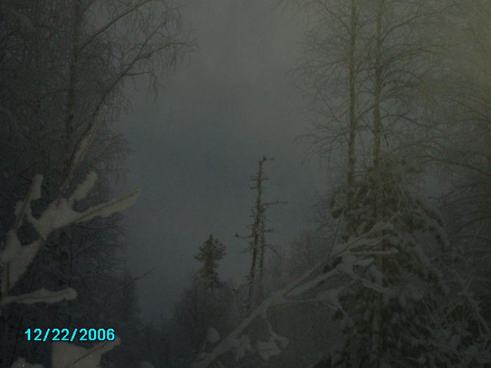 утро в зимнем лесу