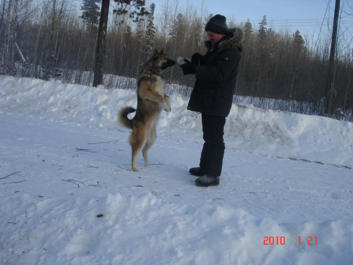 Дай понюхаю,что это.