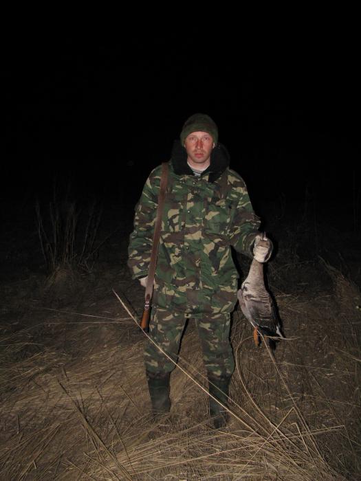 весна 2010