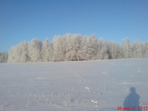 Морозёц