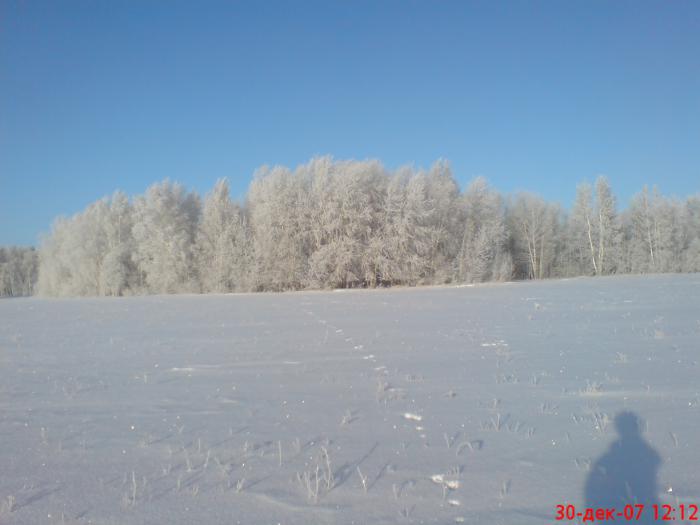 Морозёц