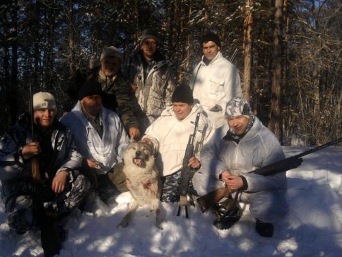 поохотились.... удачно