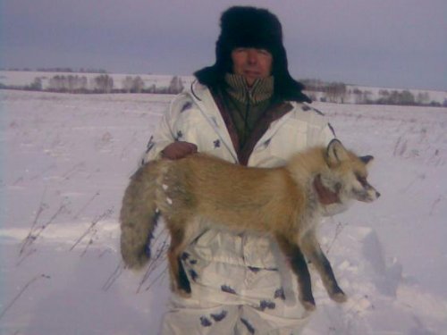 рыжая