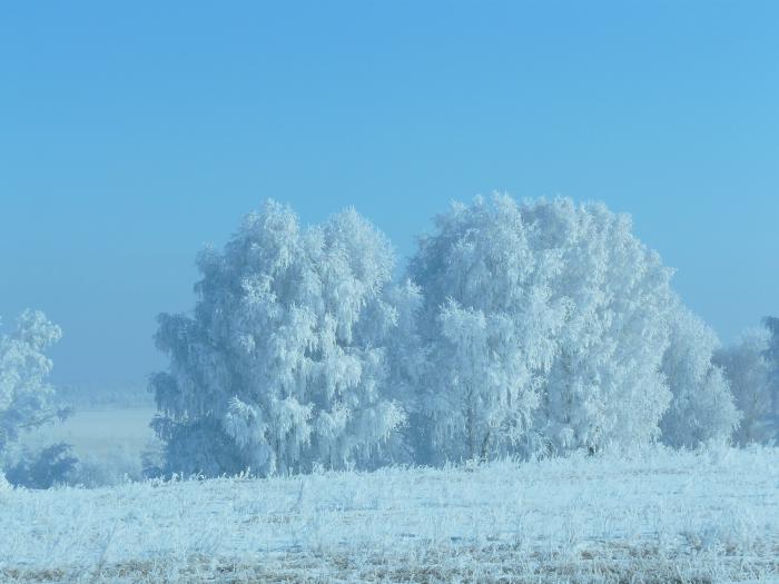 Утром