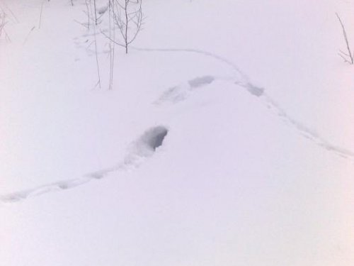закрытие сезона 