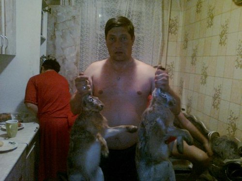отличный денек