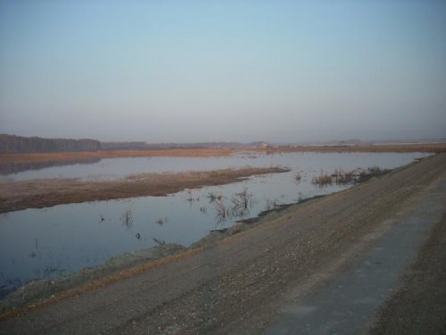 Разлив 2010 