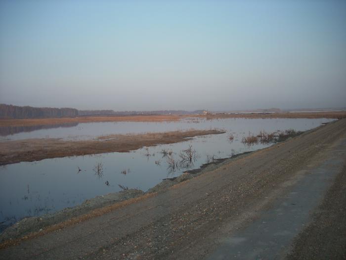 Разлив 2010 