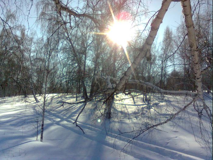 Январское солнце в горах