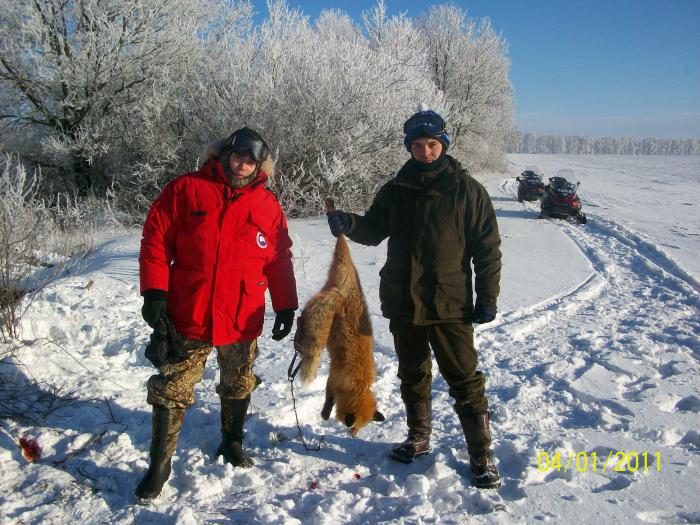 Попалась