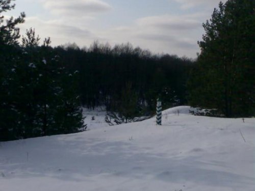 крутышено  
