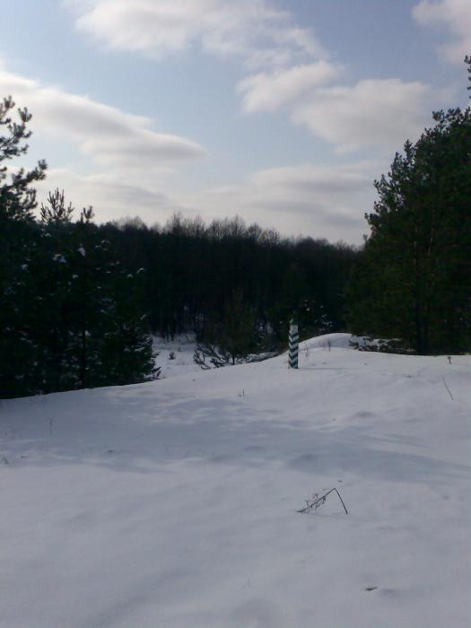 крутышено  