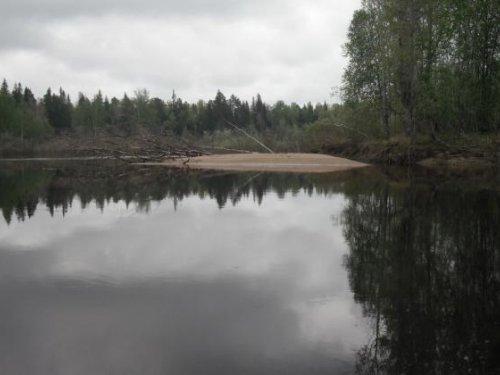 речной плёс