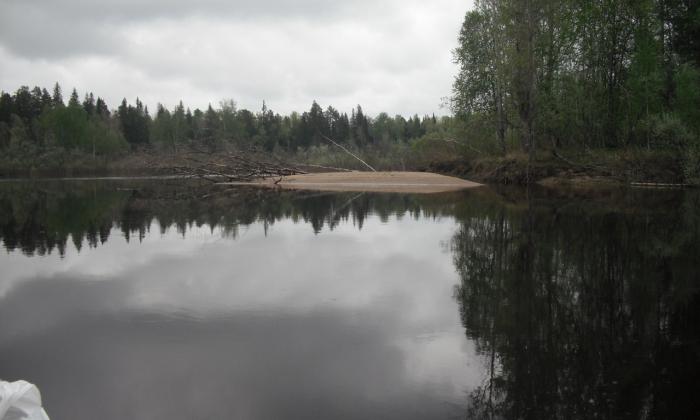 речной плёс