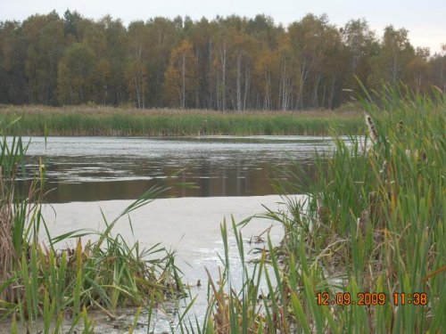 Плюхино.