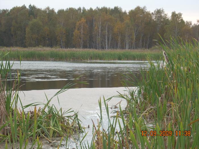 Плюхино.