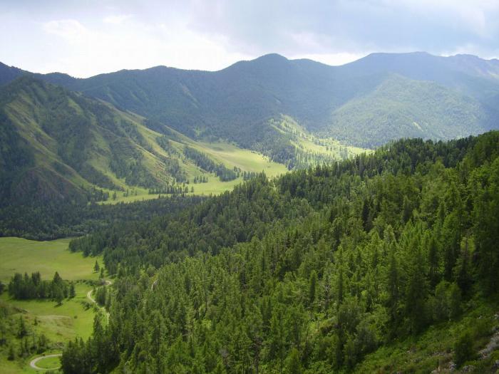 Алтай.