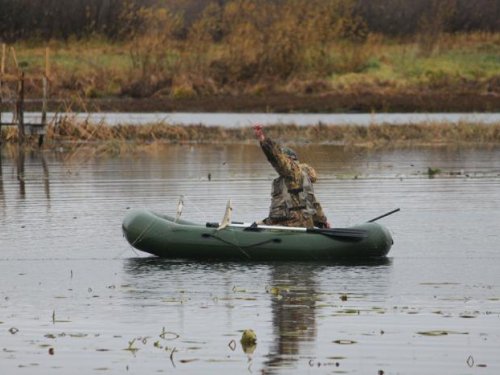 Браконьерство?