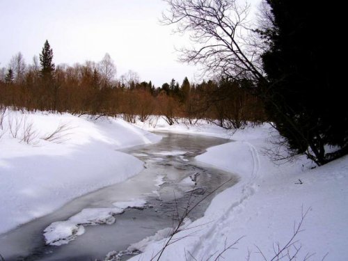 Сейчас в тайге 2.